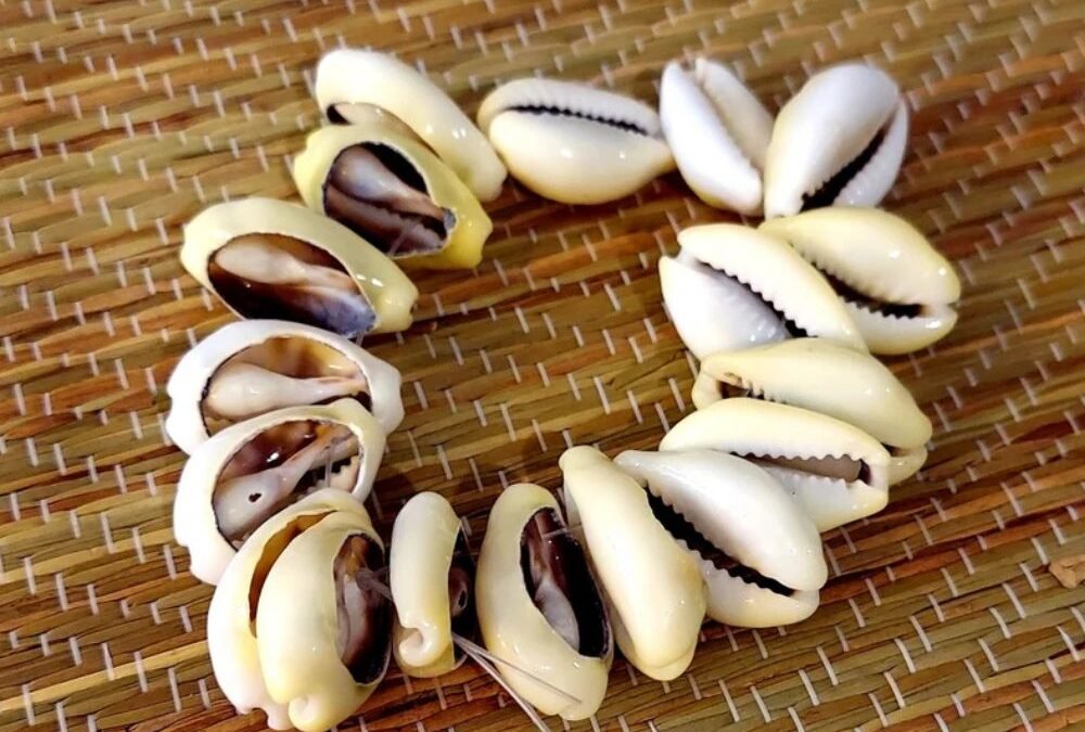 Love Witch Doctor in Kakuma