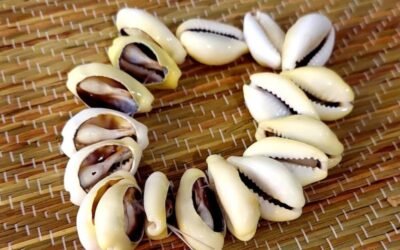 Love Witch Doctor in Kakuma