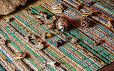 Witch Doctor in Embu